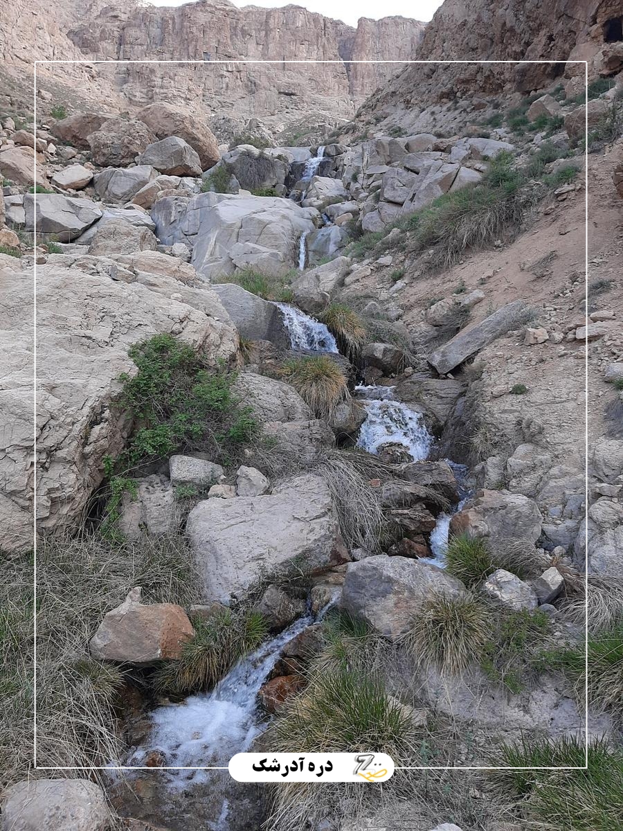 جزئیات سفر