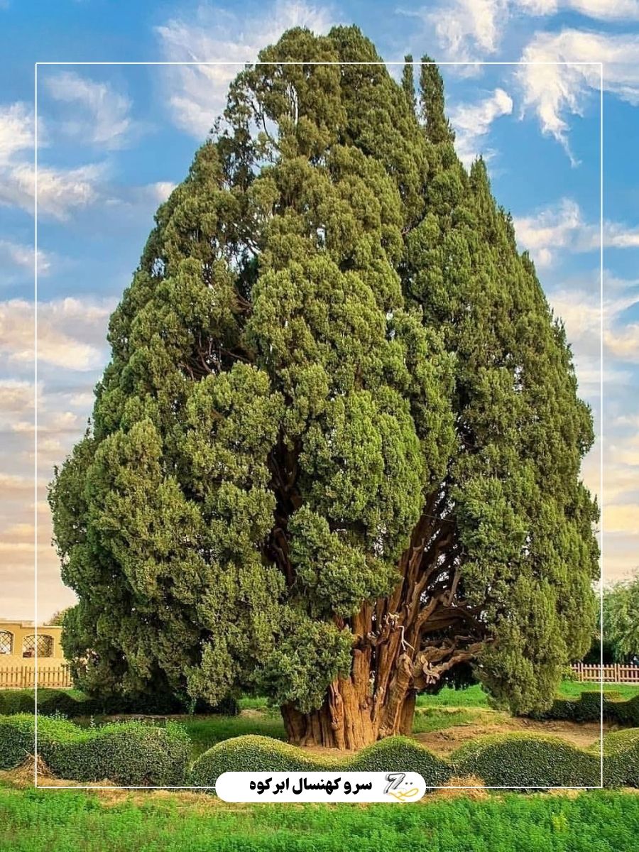 توضیحات