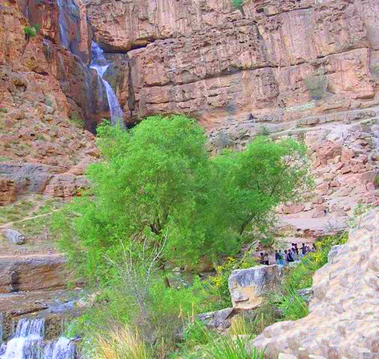 کمی خلوت با طبیعت